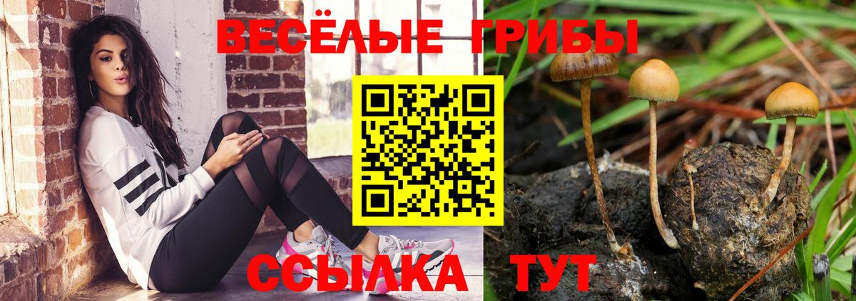 Галлюциногенные грибы ЛСД  Вход с VPN  Галлюциногенные грибы MAGIC MUSHROOMS  Шали 